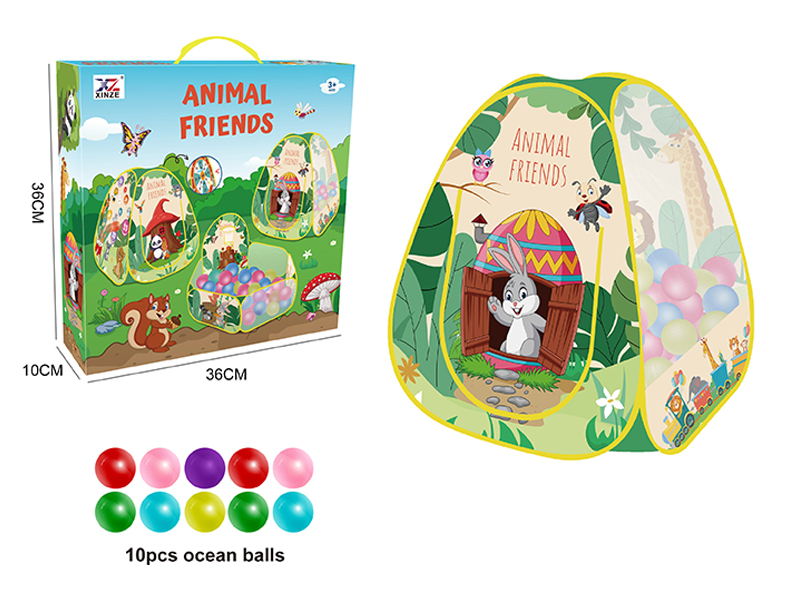 Tent Toy