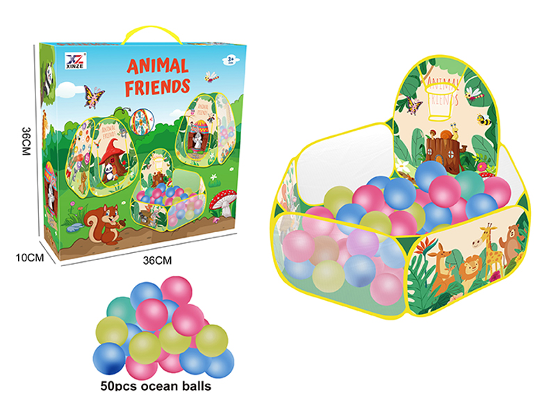Tent Toy