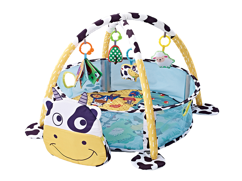 Baby Play Mat