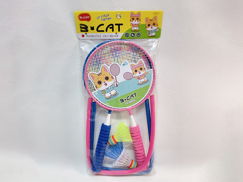 Badminton Racket With Anti-Collision Edge