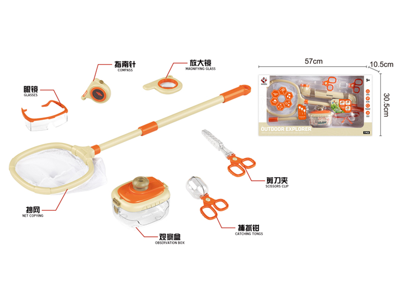 Insect Series Toys