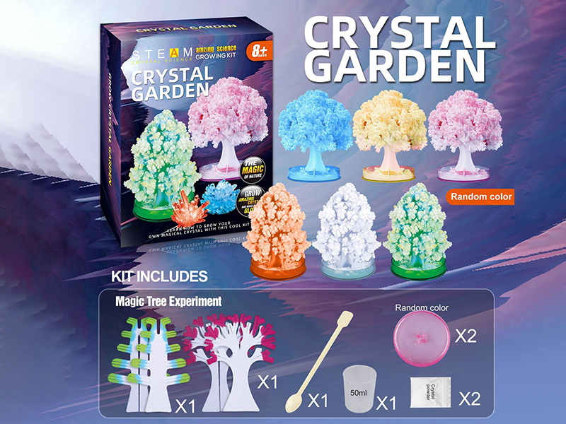 Magic Tree Growing Experiment(2 Trees)