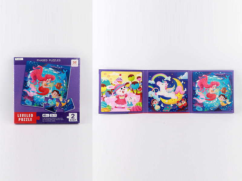 Magnetic Advanced Cartoon Puzzle