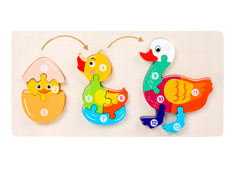 Wooden Duck Growing Process 3D Puzzle