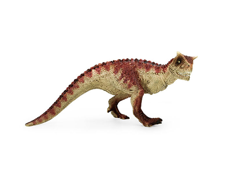 Small Torosaurus