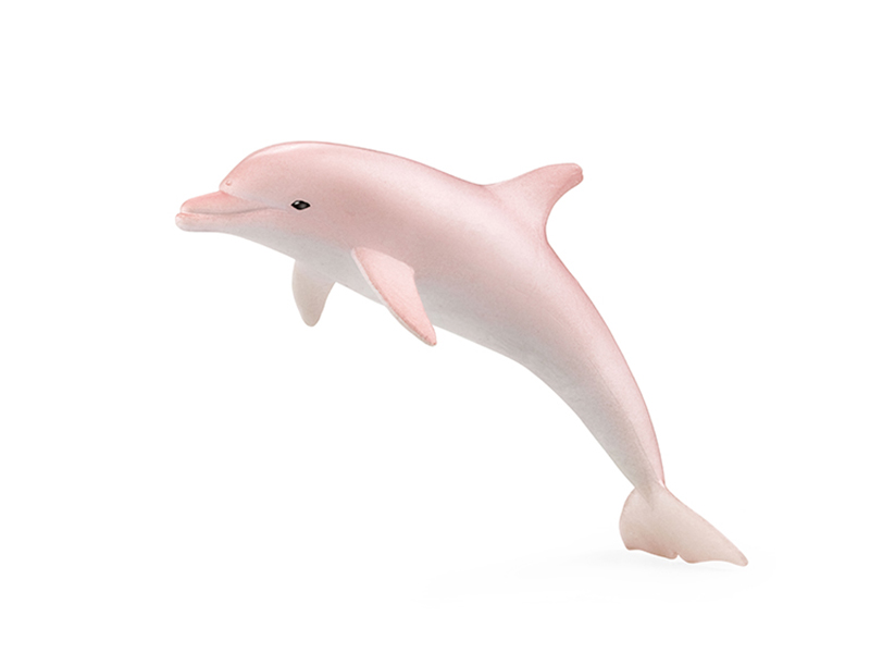 Pink Dolphin Animal Model