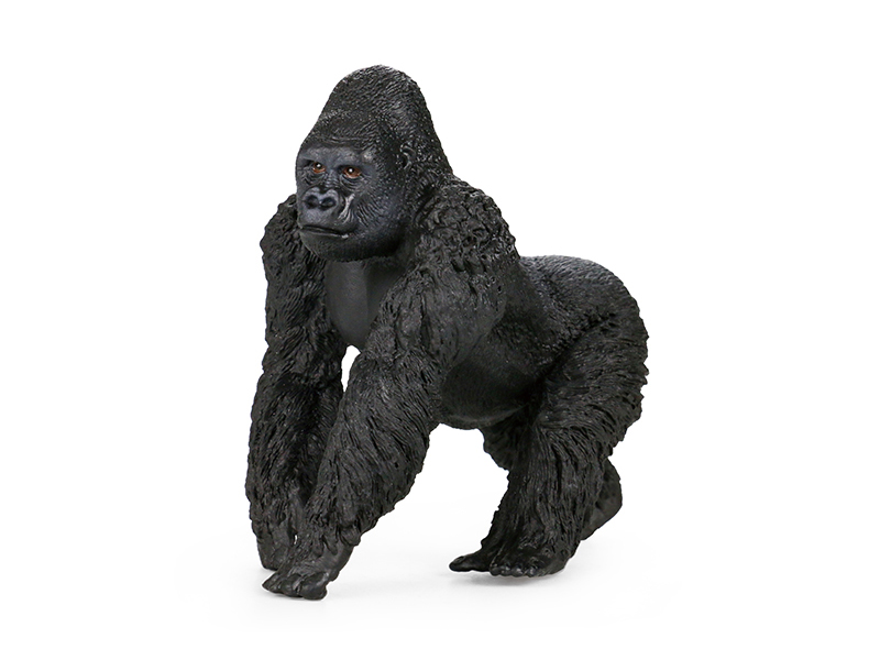 Gorilla Animal Model