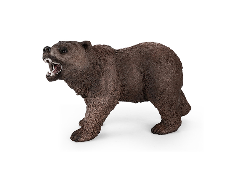 Brown Bear Animal Model
