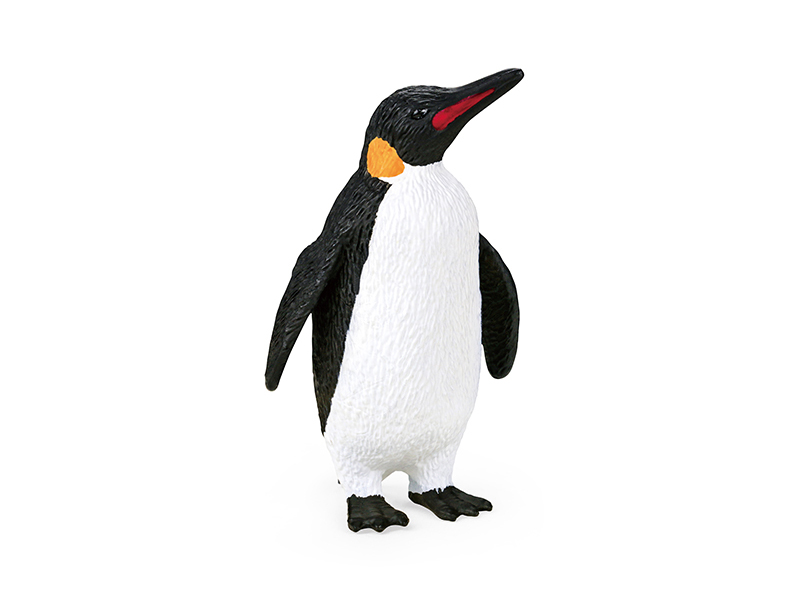 Penguin Animal Model