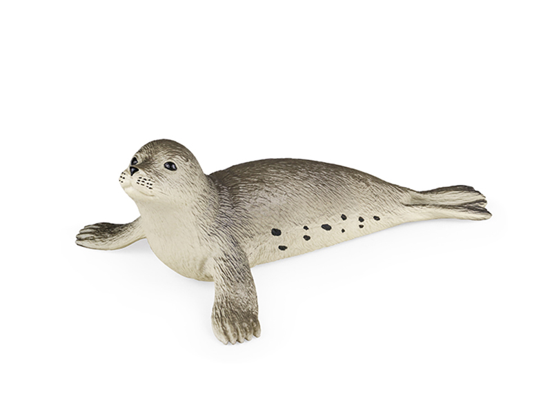 Sea Dog Animal Model