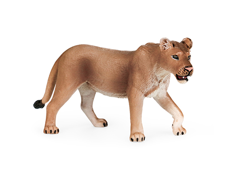 Lioness Animal Model