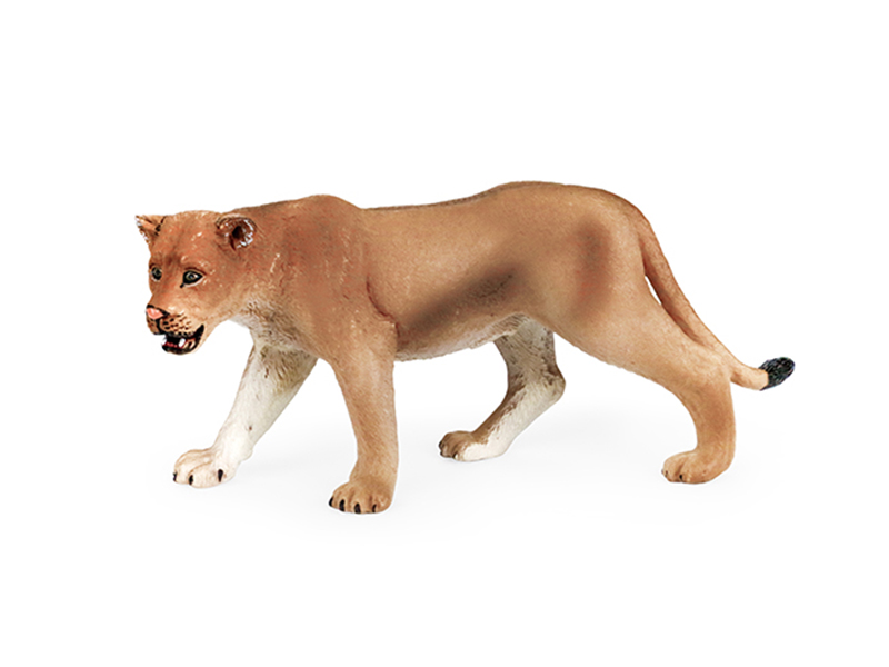 Lioness Animal Model