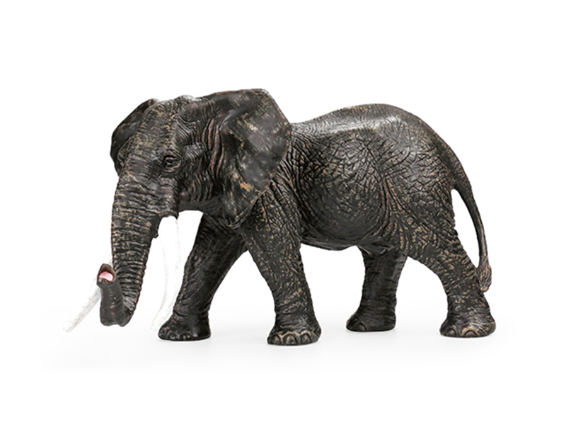 Bull African Elephant Animal Model