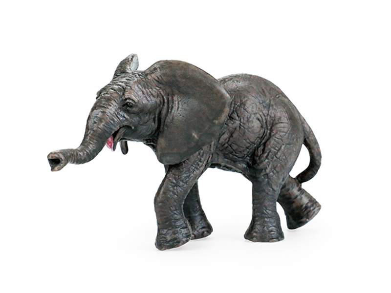 Baby African Elephant  Animal Model