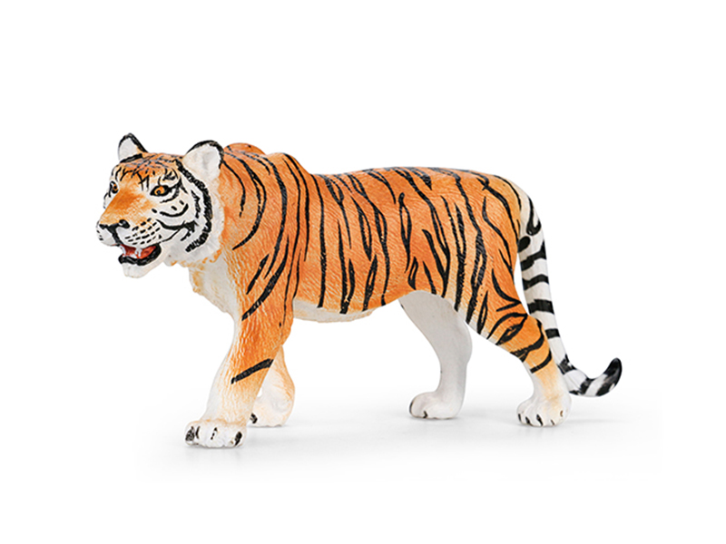 Tiger Animal Model