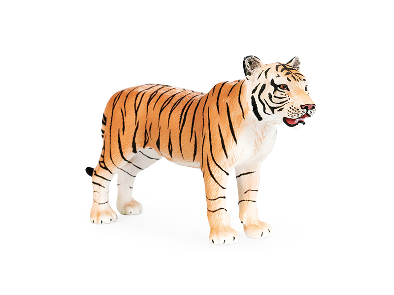 Tigress Animal Model