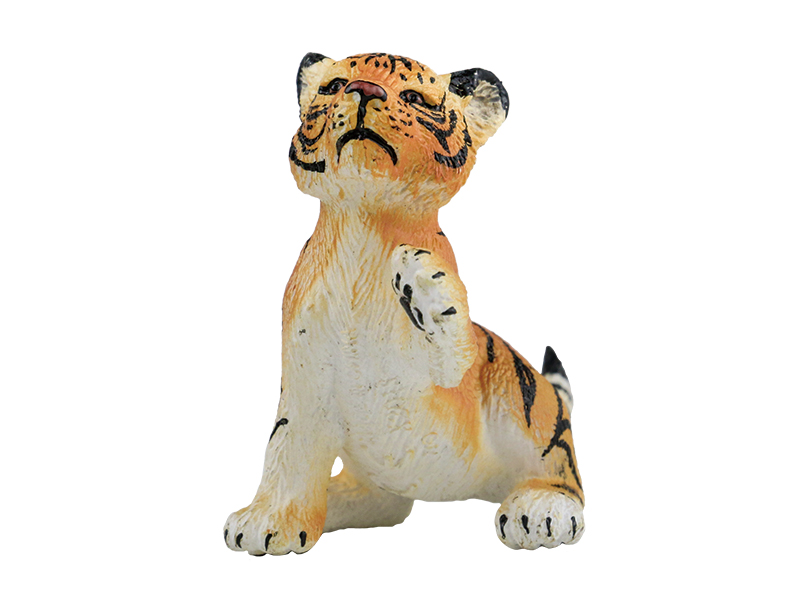Little Tiger Animal Model