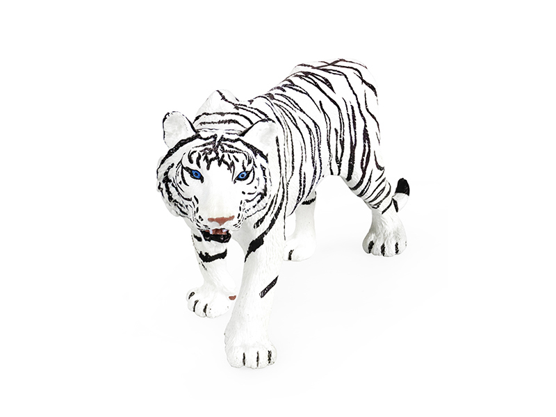 Male White Tiger Animal Model
