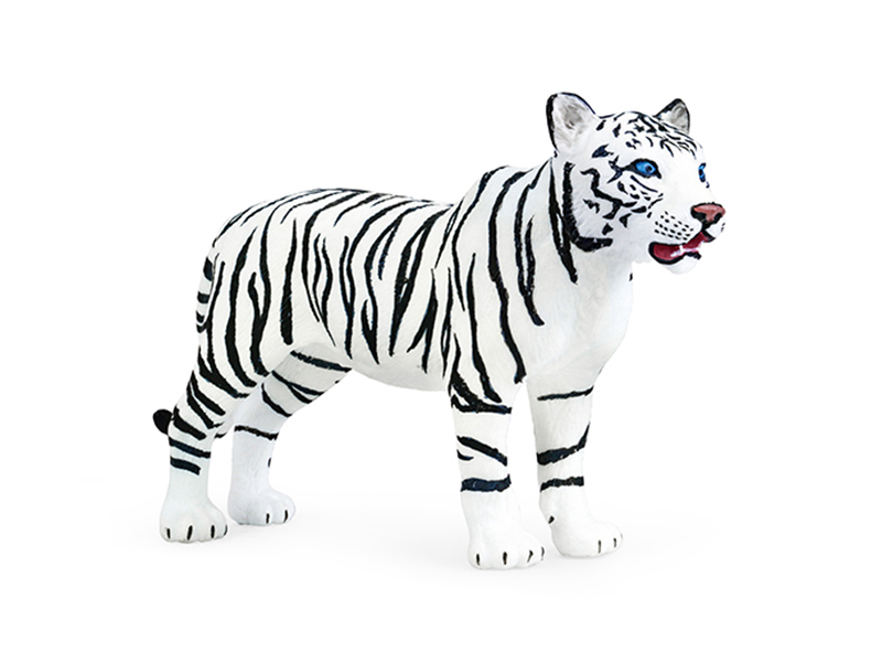 Female White Tiger Animal Model
