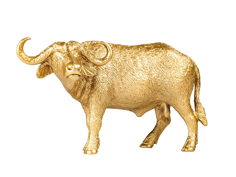 African Buffalo Animal Model