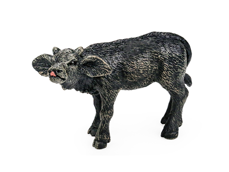 Buffalo Animal Model
