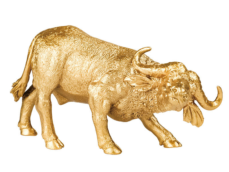 African Buffalo Animal Model