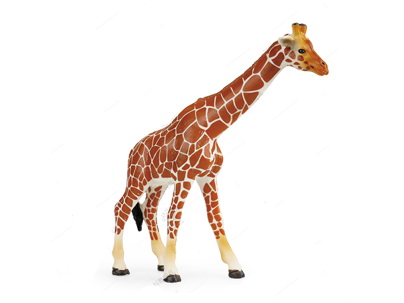 Female Giraffe Animal Model