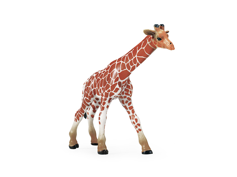 Baby Giraffe Animal Model