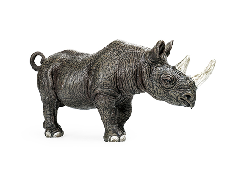 Rhinoceros Animal Model