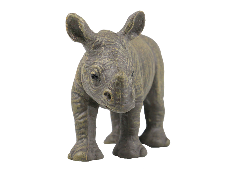 Little Rhinoceros Animal Model