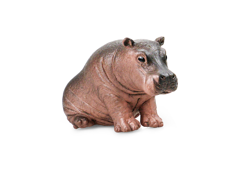 Baby Hippo Animal Model
