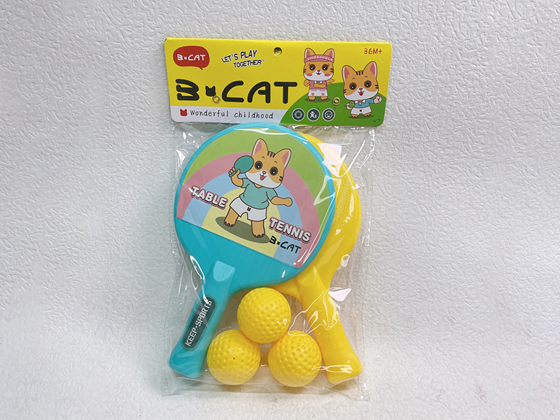 Table Tennis Set