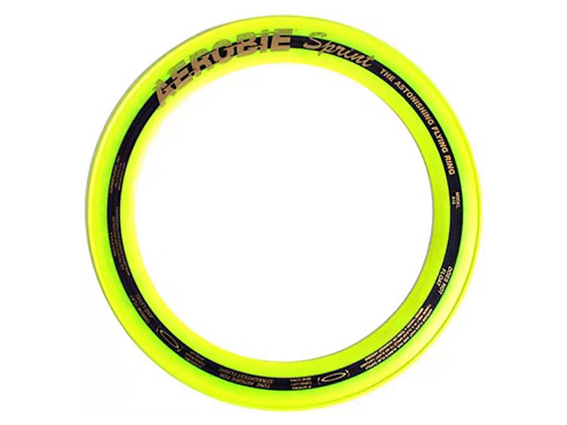 Hollow Frisbee