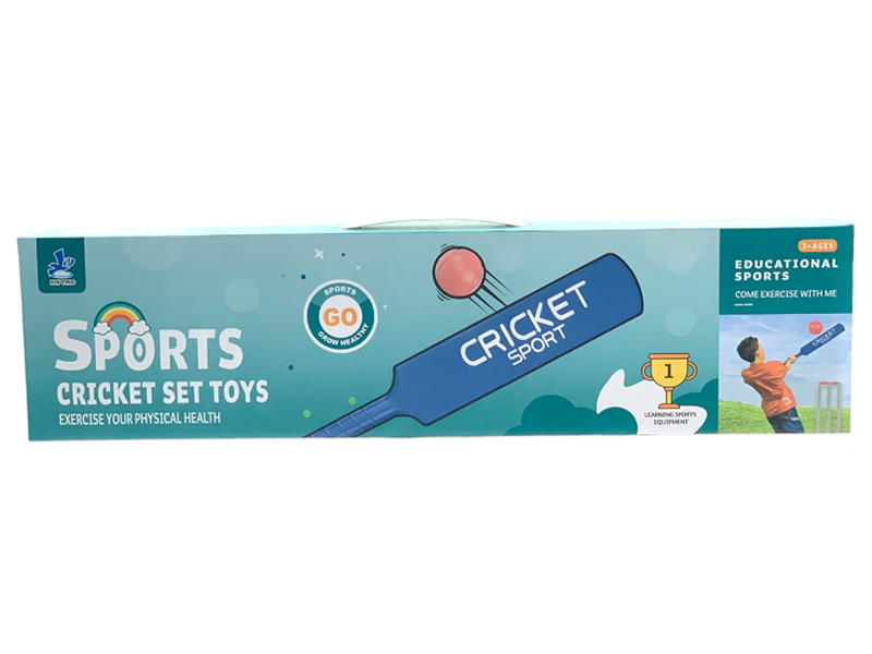 Hockey Training Set