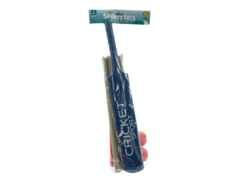 Hockey Training Set