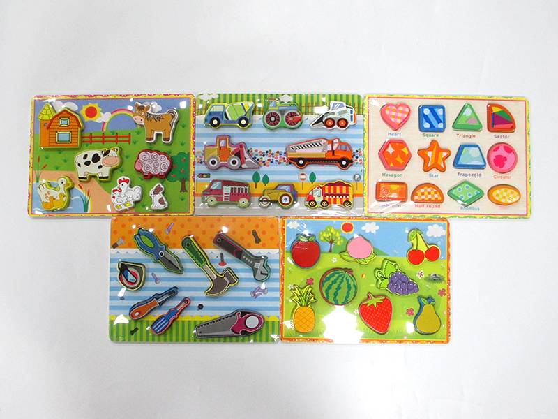 Wooden Puzzle Toy