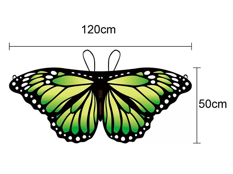 Butterfly Wings Cape  For Children