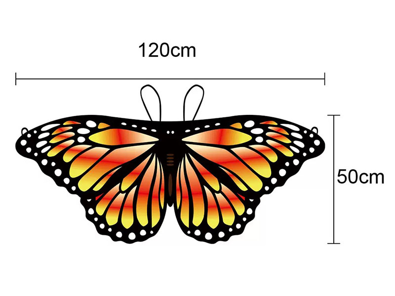 Butterfly Wings Cape  For Children