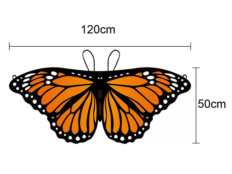 Butterfly Wings Cape  For Children