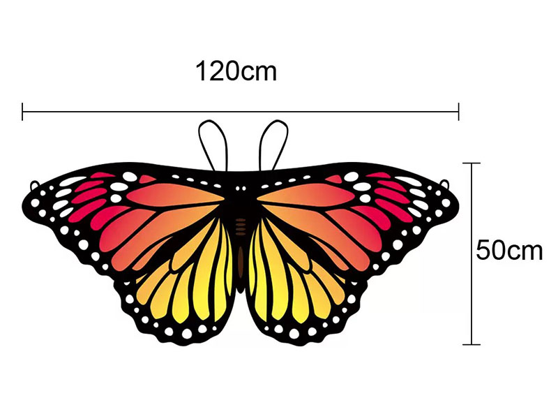 Butterfly Wings Cape  For Children