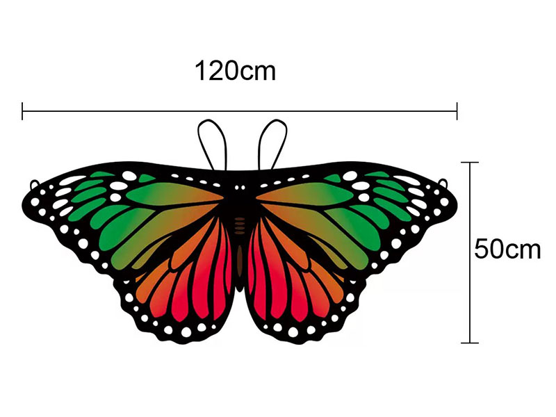 Butterfly Wings Cape  For Children