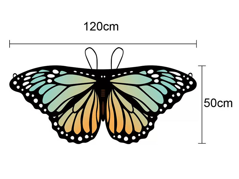 Butterfly Wings Cape  For Children