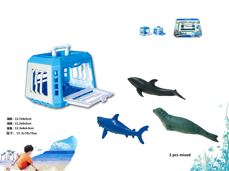 Cage+Sea Lion+Shark+Dolphin