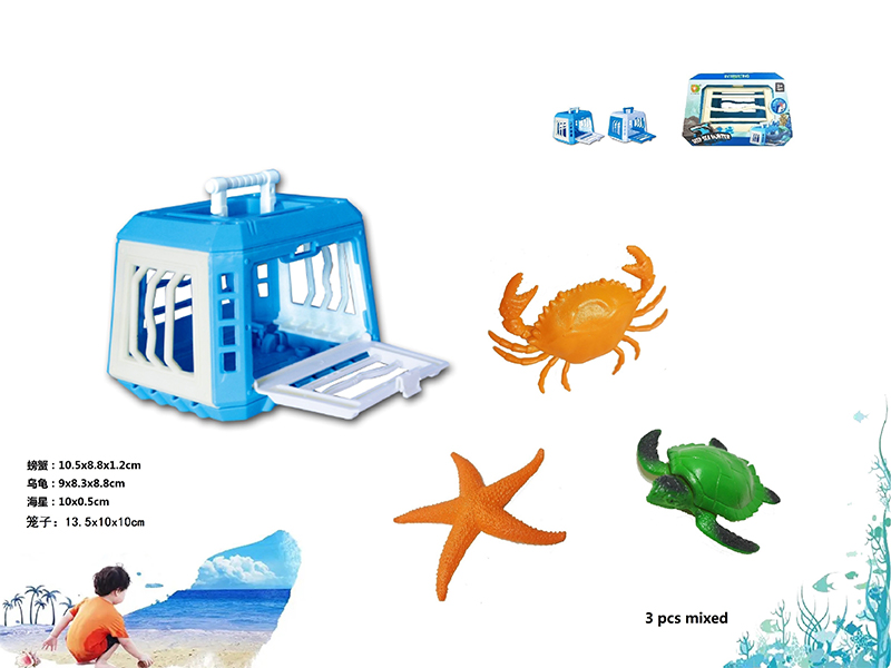 Cage+Crab+Sea Turtle+Starfish