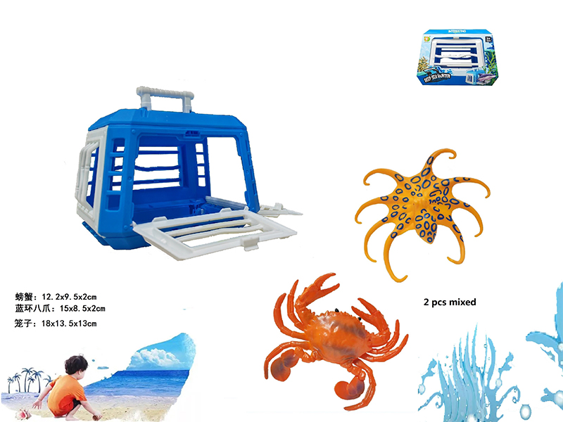 Middle Cage+Crab+Octopus