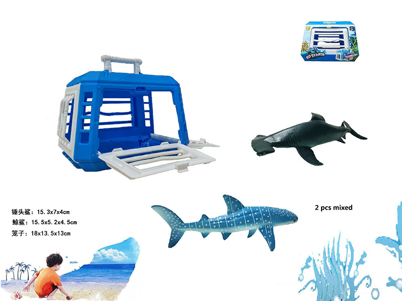 Middle Cage+Whale Shark+Hammerhead Fish
