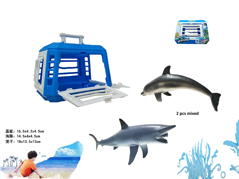 Middle Cage+Blue Shark+Dolphin