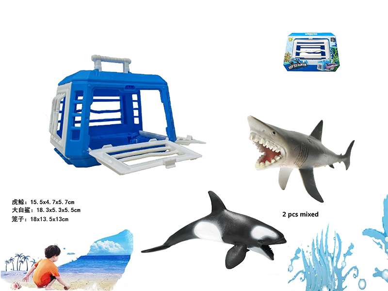 Middle Cage+Tiger Whale+Great White Shark