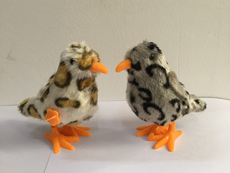 Wind Up Bird