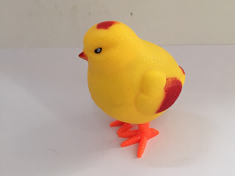 Induction Chick